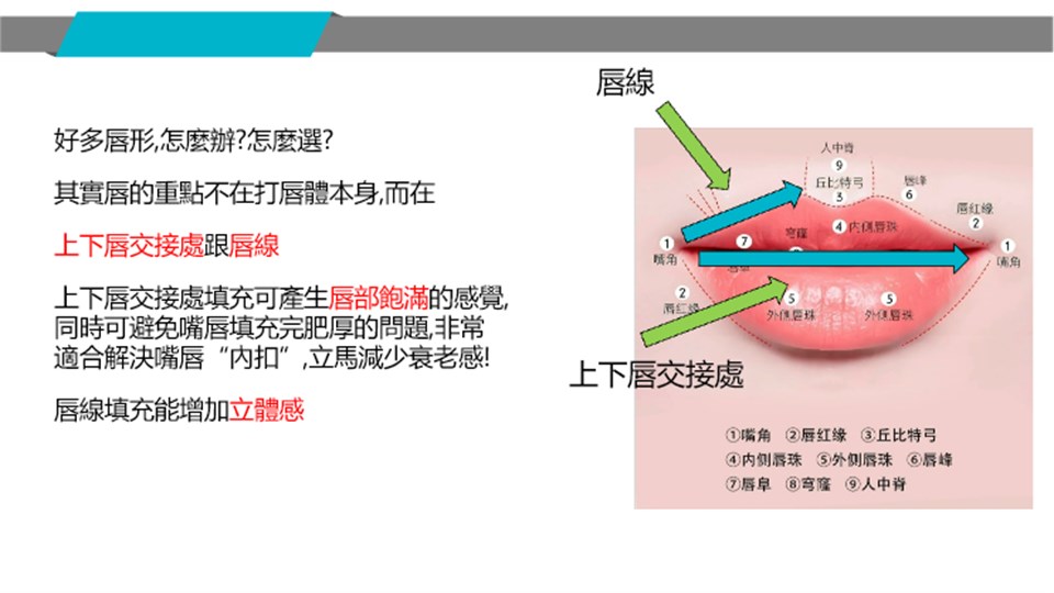 上下唇交界與唇線設計