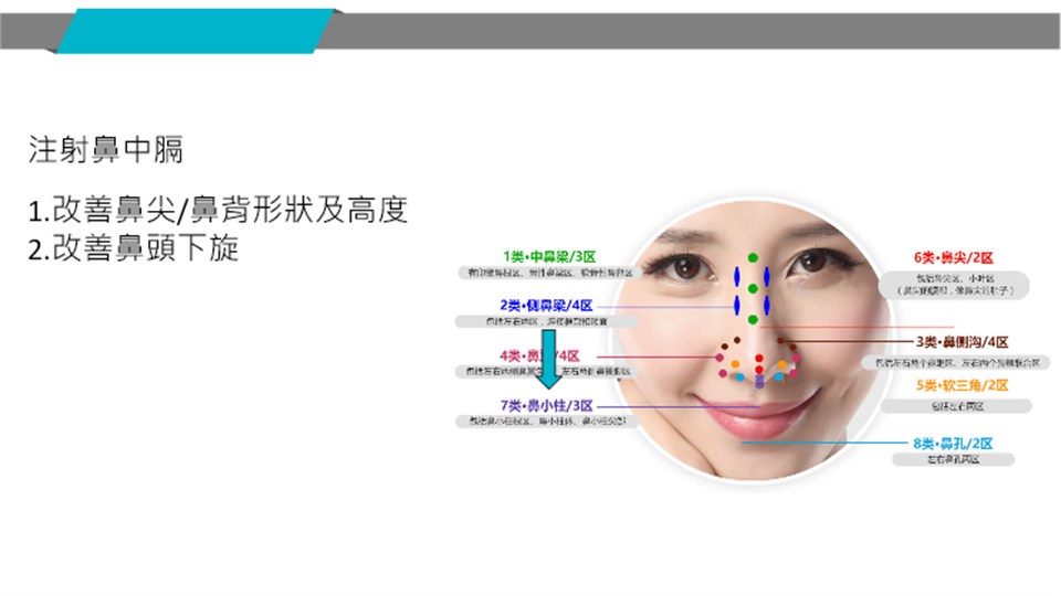 鼻中膈支撐作用說明