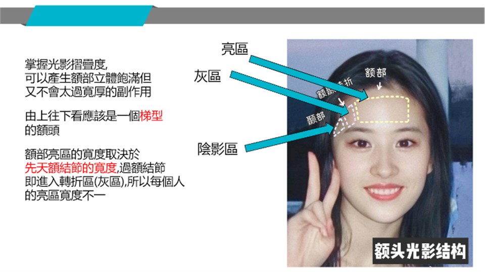 額部亮區灰區陰影區示意