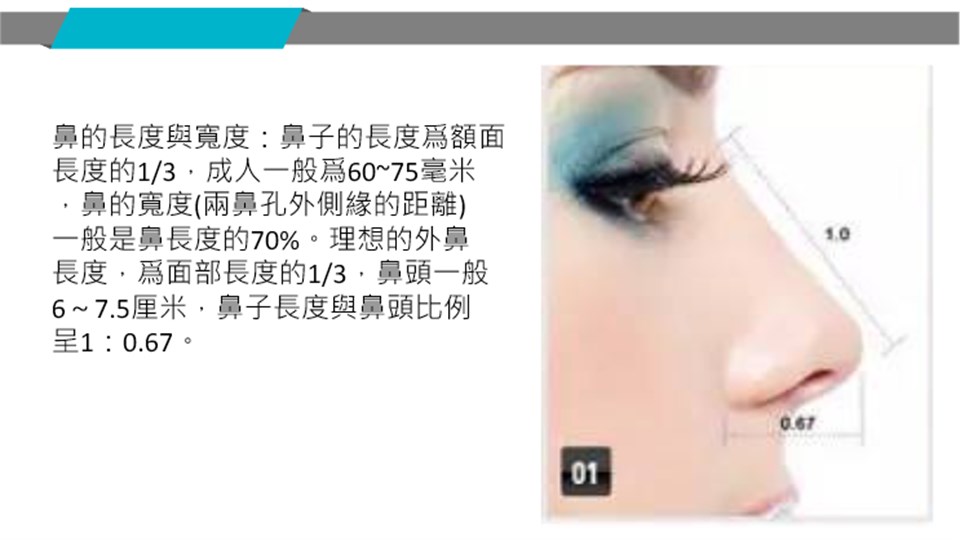 鼻長鼻寬比例說明
