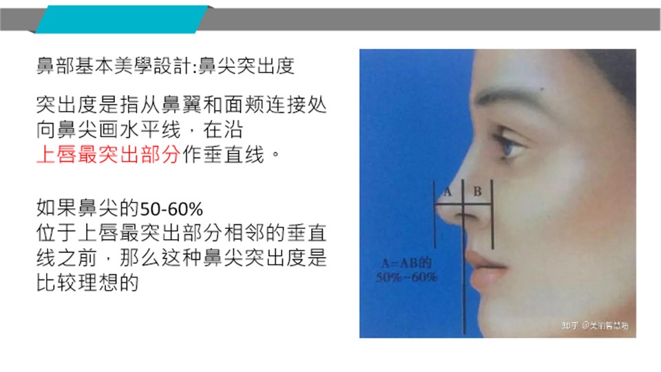 鼻尖突出度評估