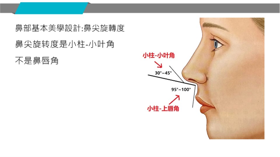 鼻尖旋轉角度示意