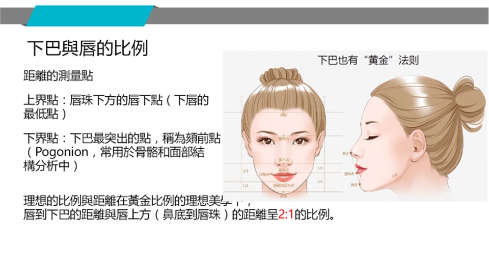 下巴與上下唇比例示意